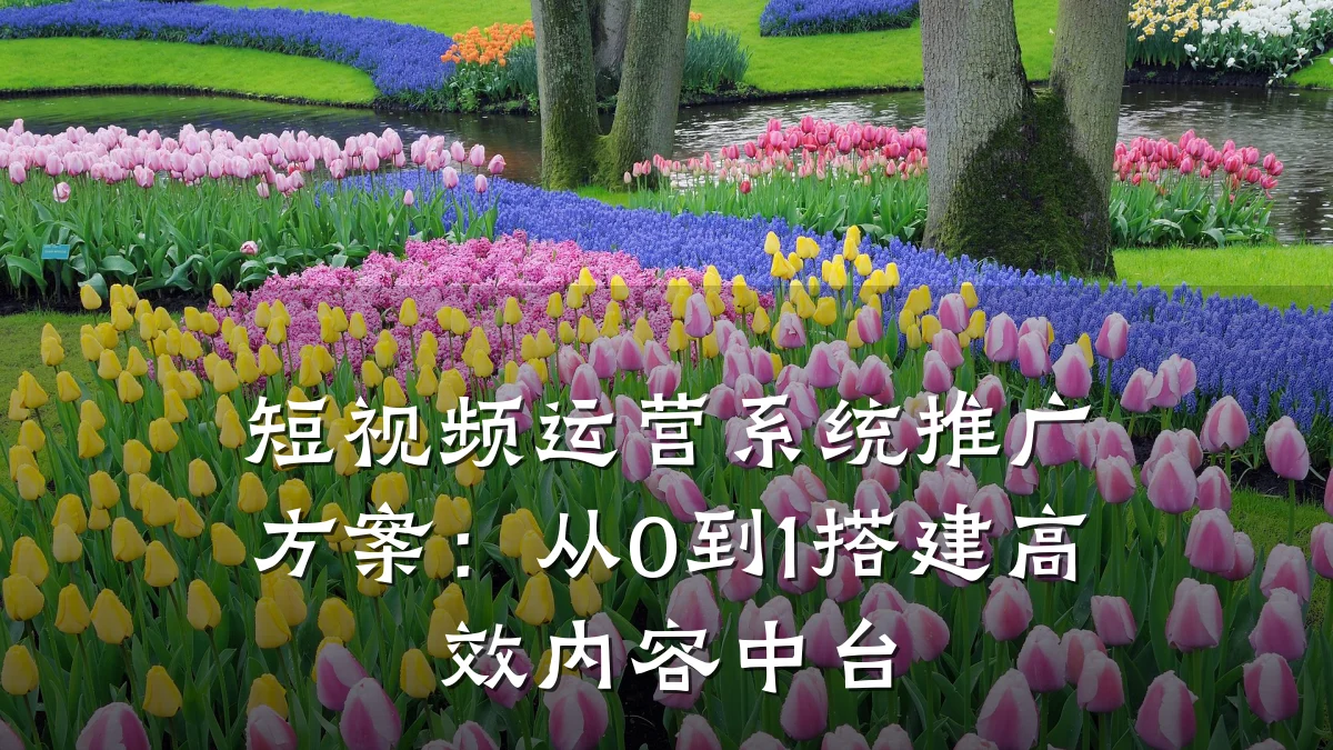 短视频运营系统推广方案：从0到1搭建高效内容中台