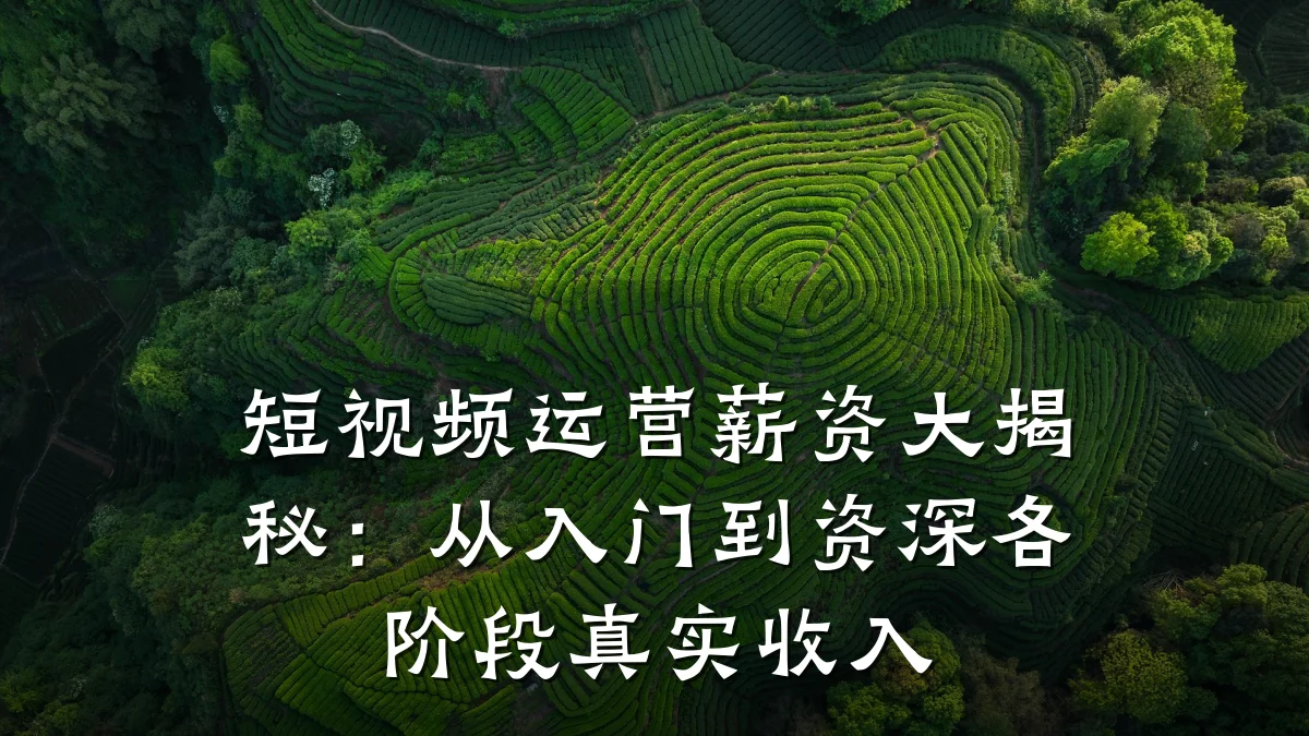 短视频运营薪资大揭秘：从入门到资深各阶段真实收入