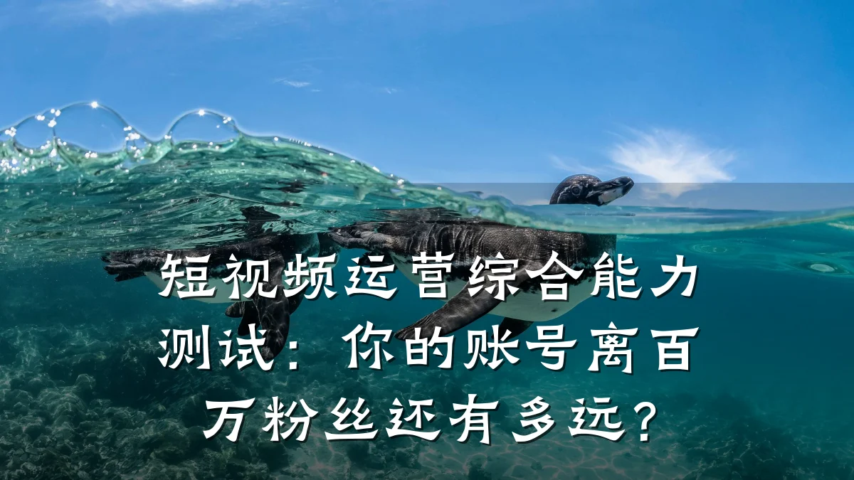 短视频运营综合能力测试：你的账号离百万粉丝还有多远？
