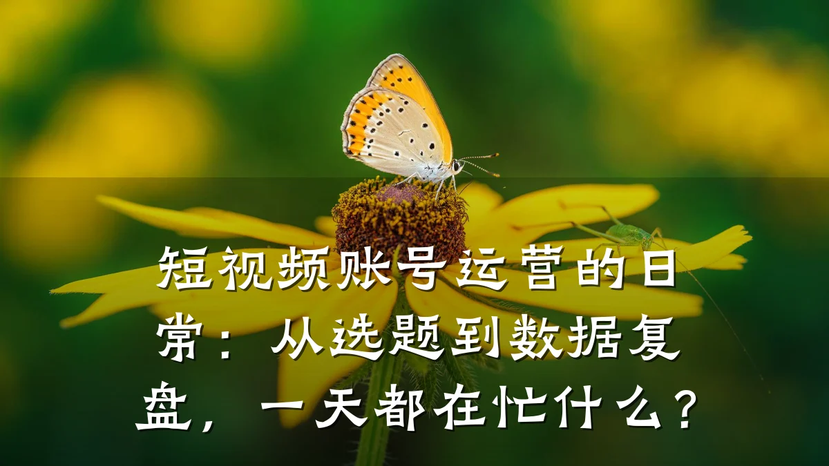 短视频账号运营的日常：从选题到数据复盘，一天都在忙什么？
