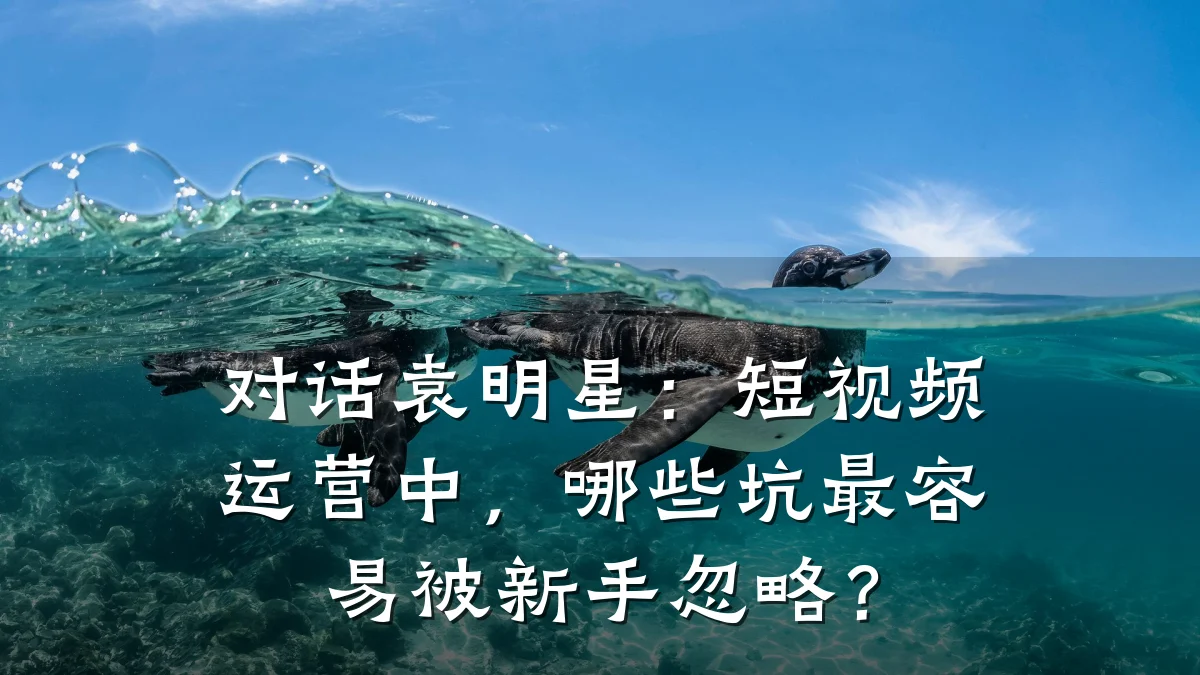 对话袁明星：短视频运营中，哪些坑最容易被新手忽略？