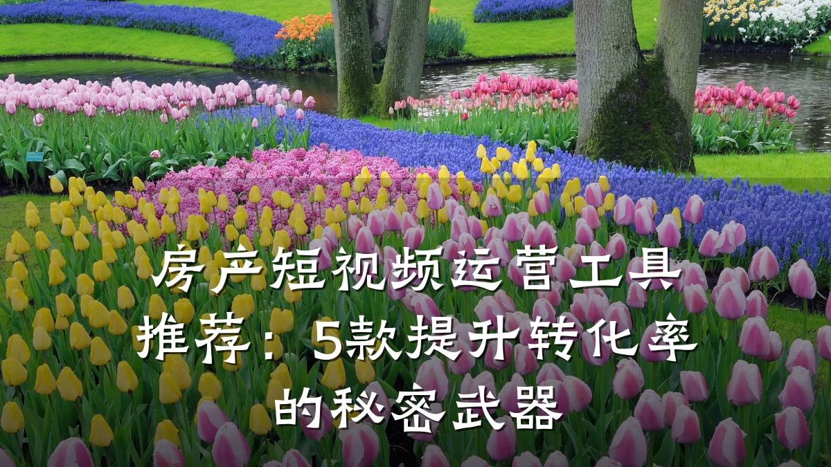 房产短视频运营工具推荐：5款提升转化率的秘密武器