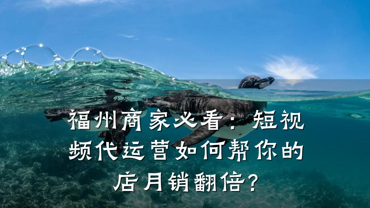 福州商家必看：短视频代运营如何帮你的店月销翻倍？
