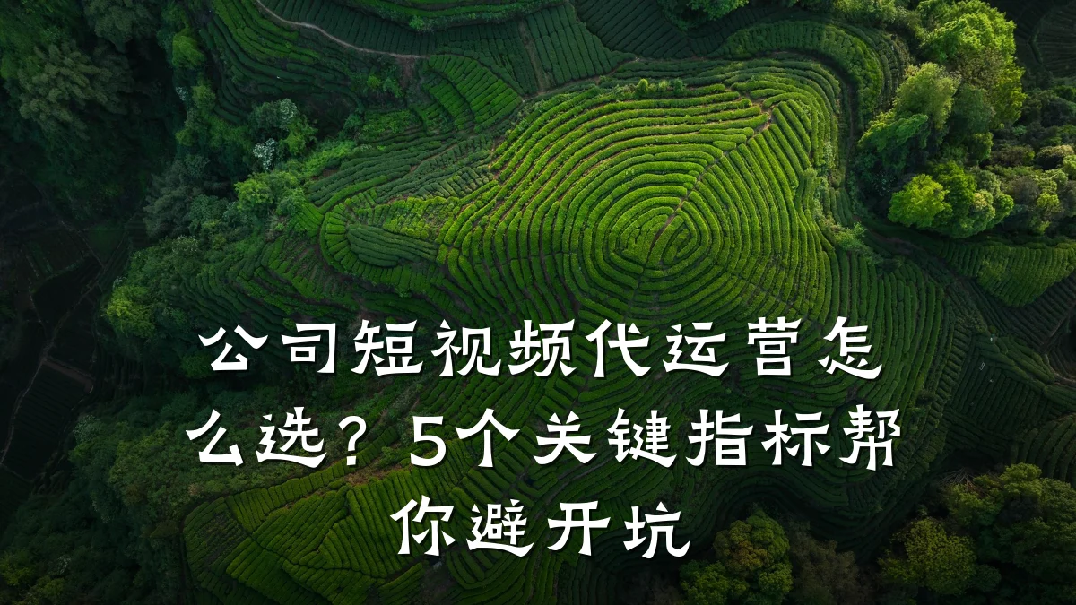 公司短视频代运营怎么选？5个关键指标帮你避开坑