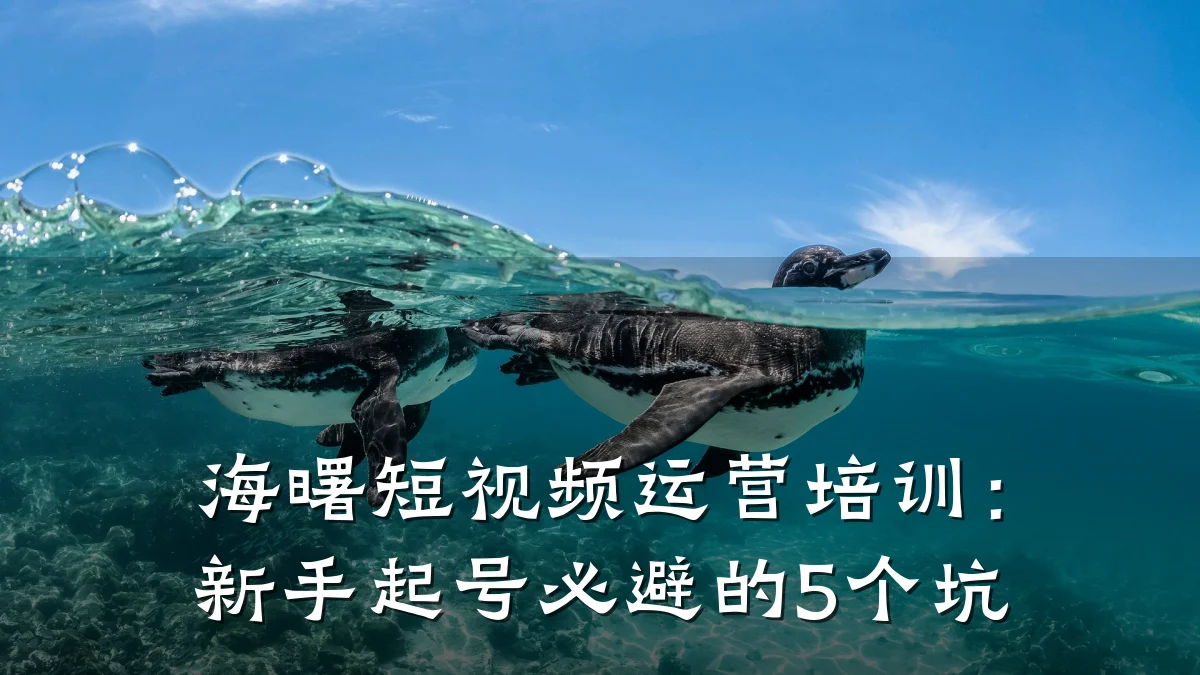 海曙短视频运营培训：新手起号必避的5个坑
