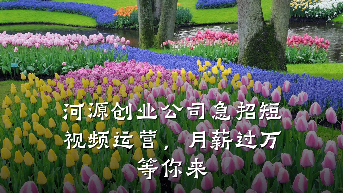 河源创业公司急招短视频运营，月薪过万等你来
