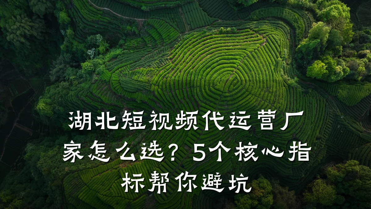 湖北短视频代运营厂家怎么选？5个核心指标帮你避坑