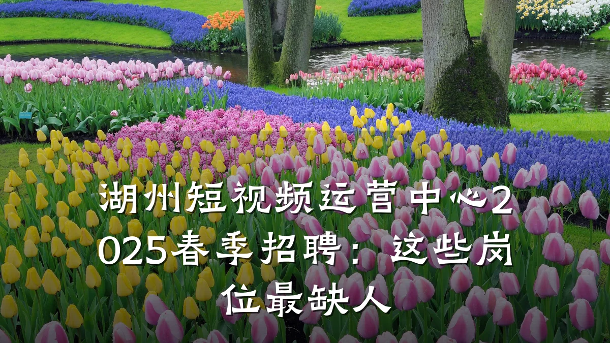 湖州短视频运营中心2025春季招聘：这些岗位最缺人