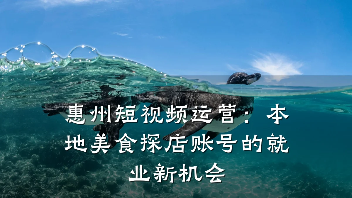惠州短视频运营：本地美食探店账号的就业新机会