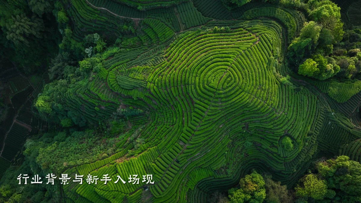 行业背景与新手入场现