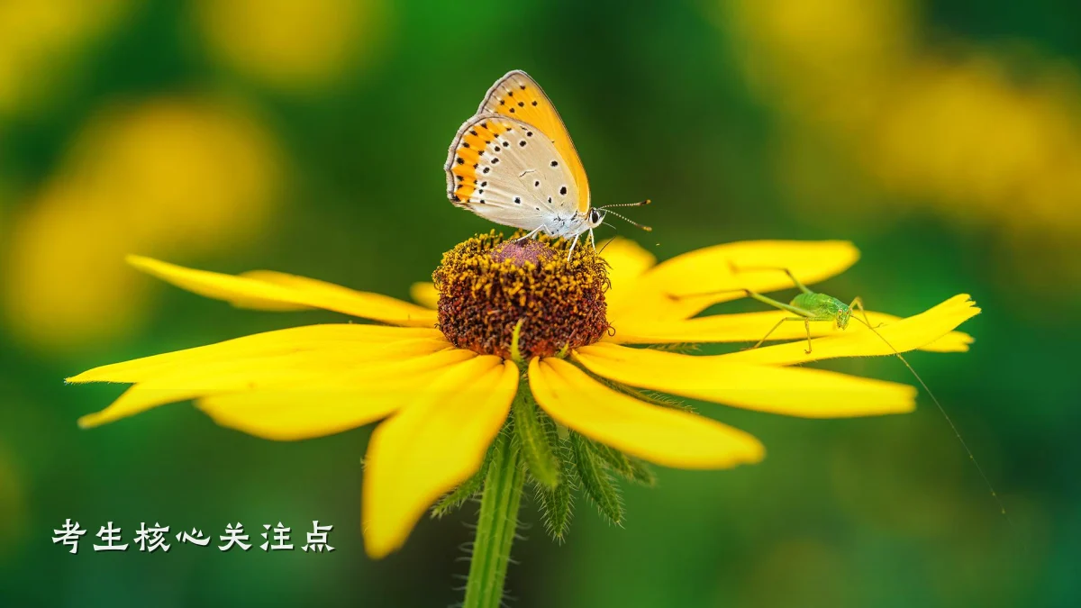 考生核心关注点