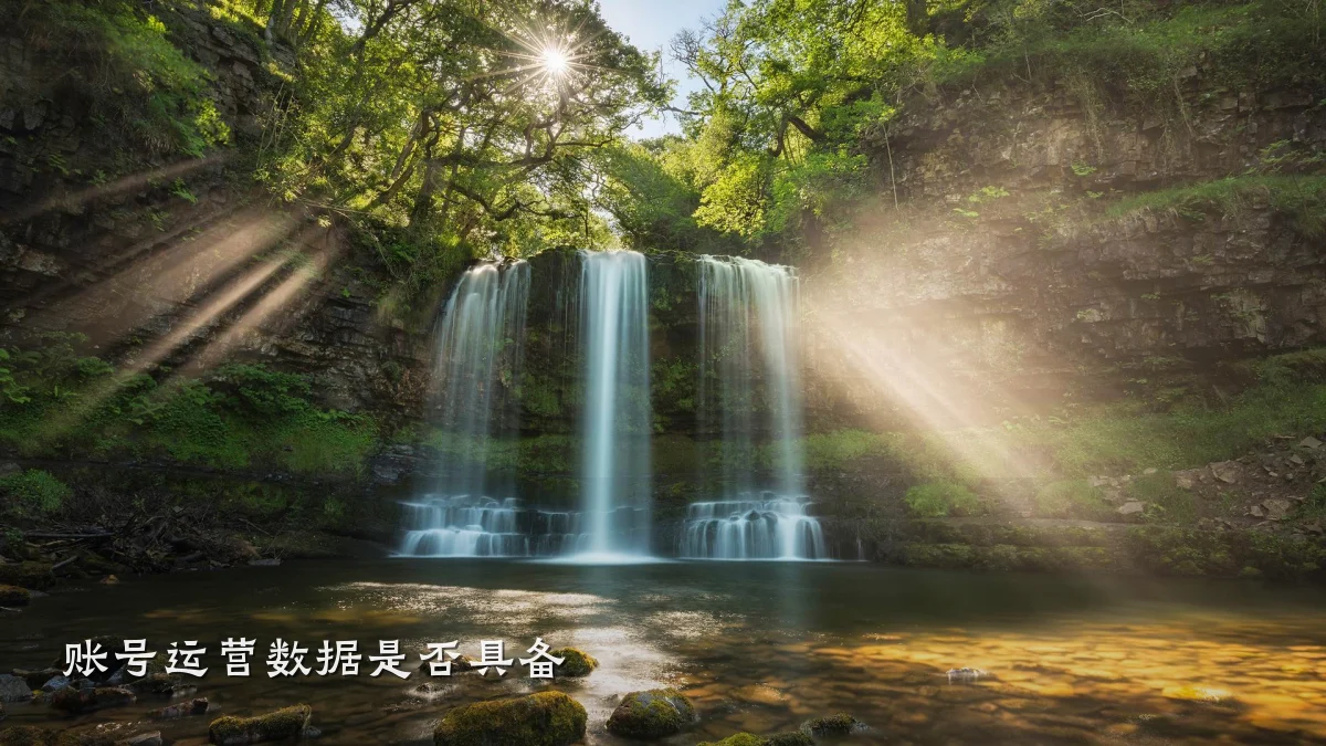 账号运营数据是否具备