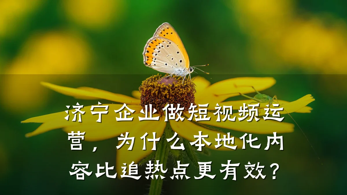 济宁企业做短视频运营，为什么本地化内容比追热点更有效？