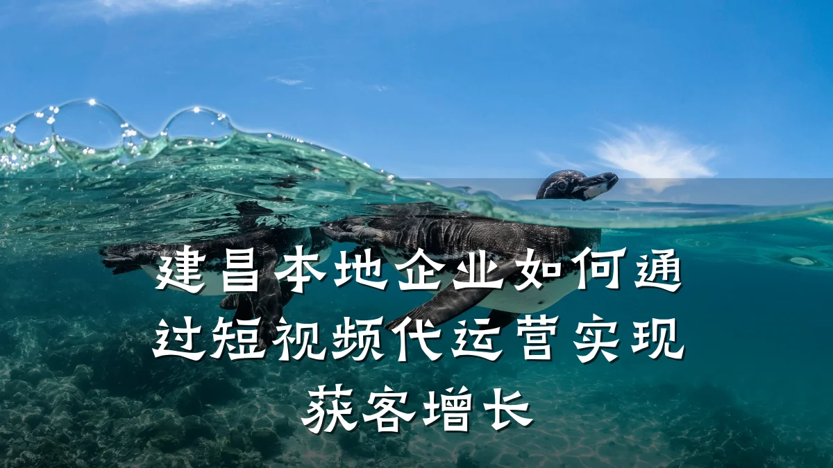 建昌本地企业如何通过短视频代运营实现获客增长