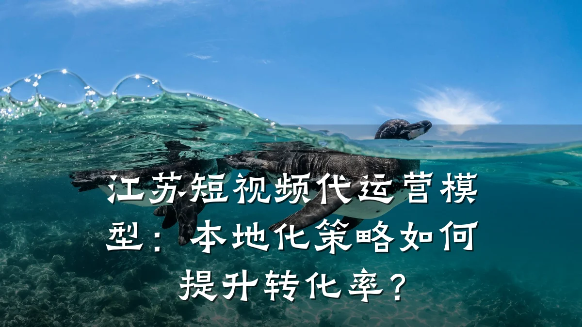 江苏短视频代运营模型：本地化策略如何提升转化率？