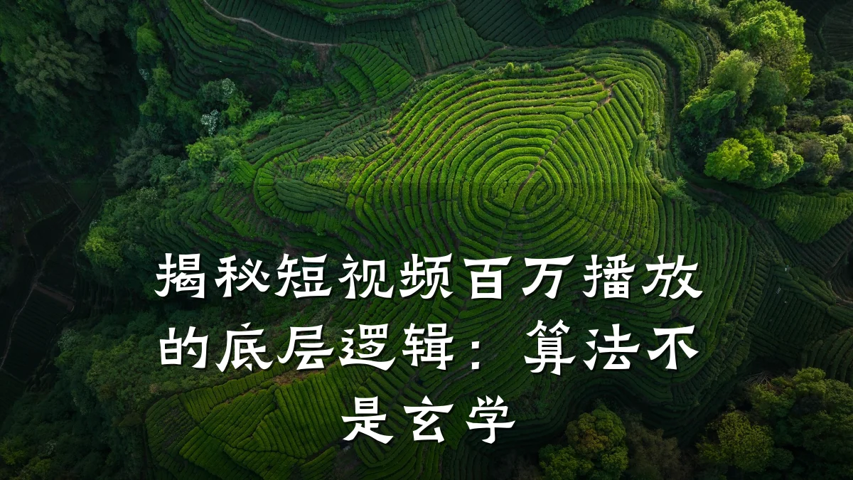 揭秘短视频百万播放的底层逻辑：算法不是玄学