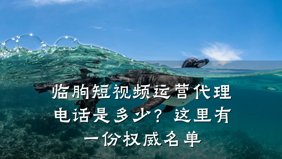 临朐短视频运营代理电话是多少？这里有一份权威名单