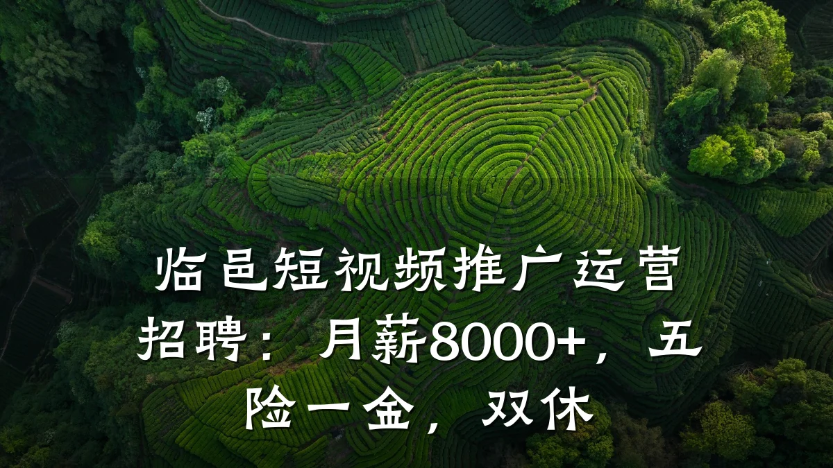 临邑短视频推广运营招聘：月薪8000+，五险一金，双休