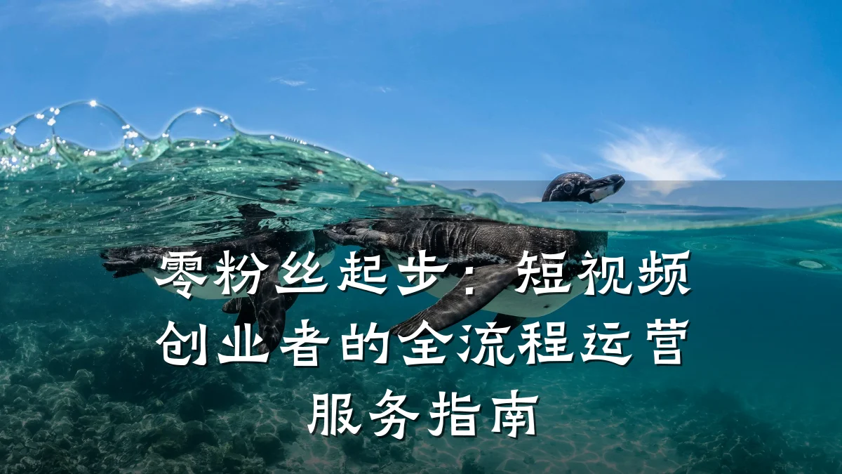 零粉丝起步：短视频创业者的全流程运营服务指南