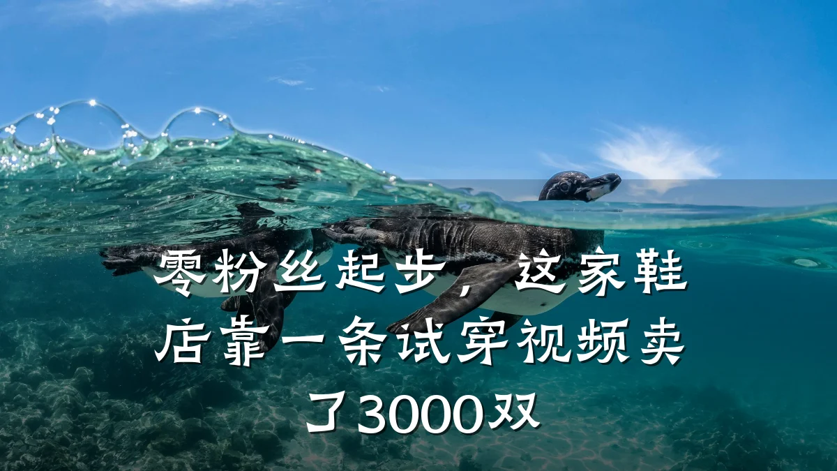零粉丝起步,这家鞋店靠一条试穿视频卖了3000双