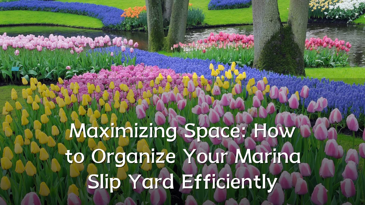 Maximizing Space: How to Organize Your Marina Slip Yard Efficiently