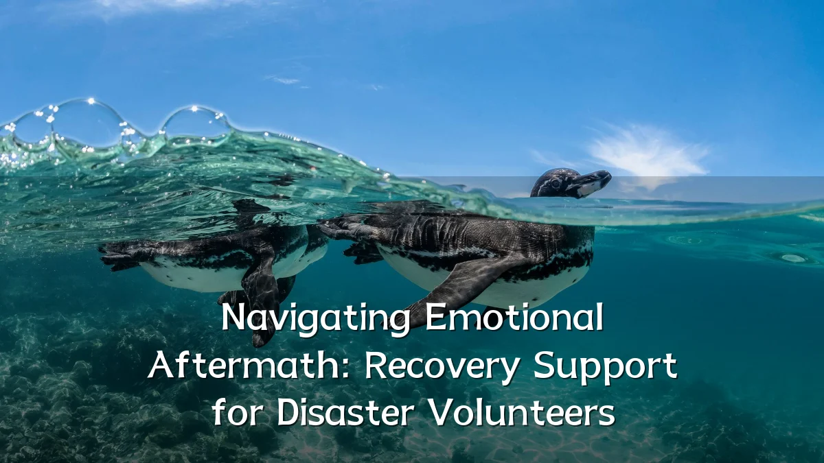 Navigating Emotional Aftermath: Recovery Support for Disaster Volunteers