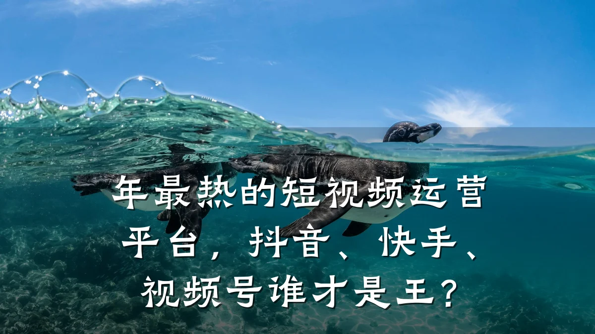 年最热的短视频运营平台，抖音、快手、视频号谁才是王？