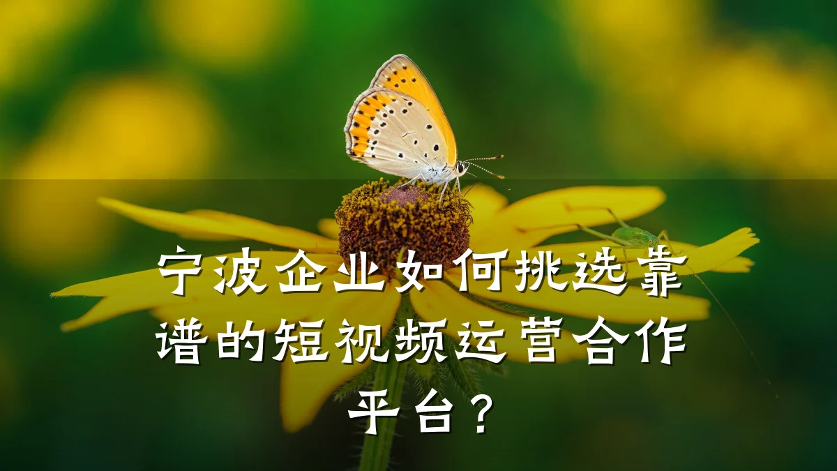 宁波企业如何挑选靠谱的短视频运营合作平台？