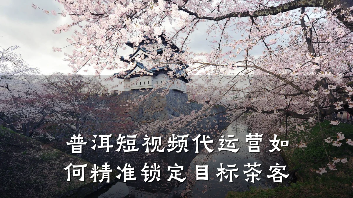 普洱短视频代运营如何精准锁定目标茶客