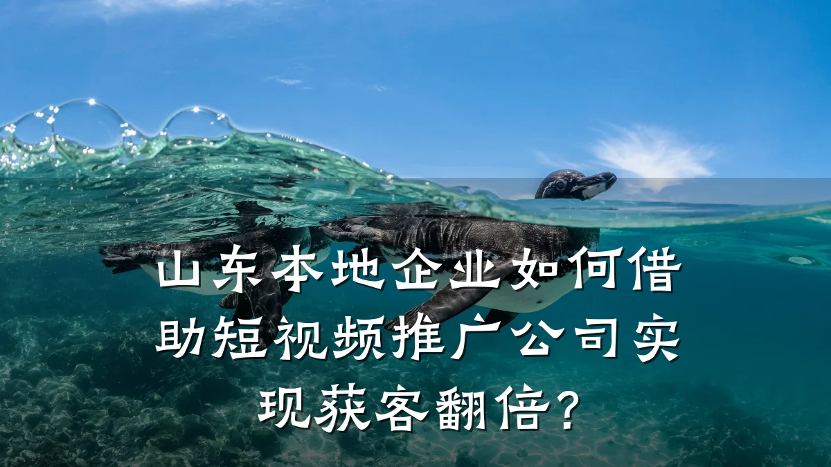 山东本地企业如何借助短视频推广公司实现获客翻倍？