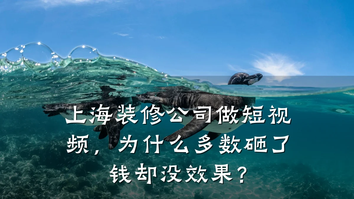 上海装修公司做短视频，为什么多数砸了钱却没效果？