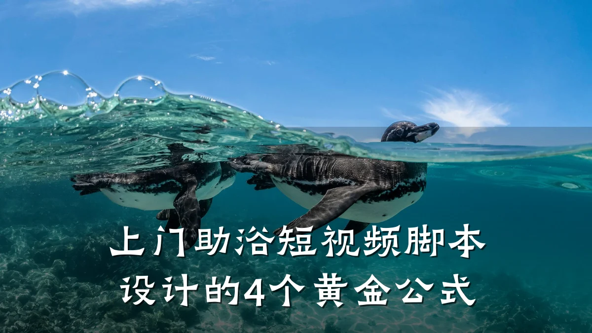上门助浴短视频脚本设计的4个黄金公式