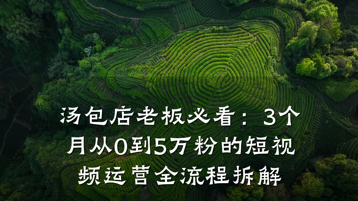 汤包店老板必看：3个月从0到5万粉的短视频运营全流程拆解