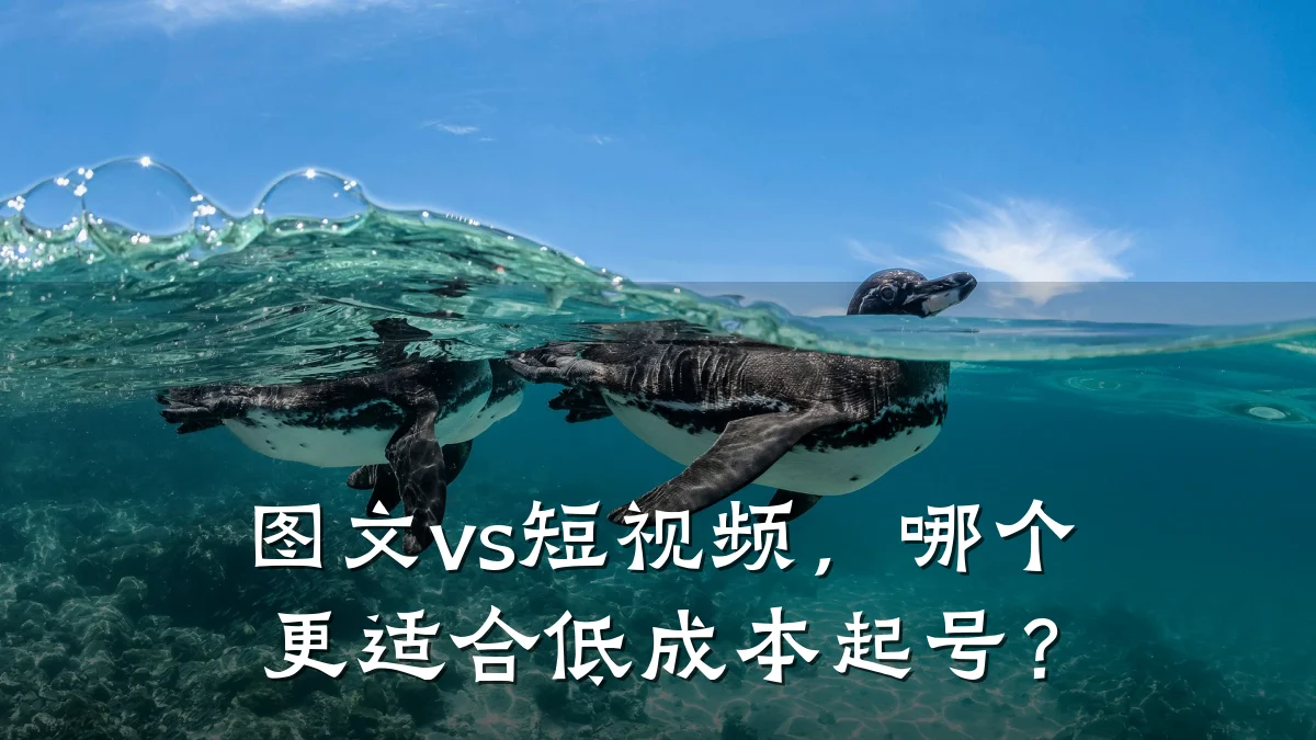 图文vs短视频，哪个更适合低成本起号？