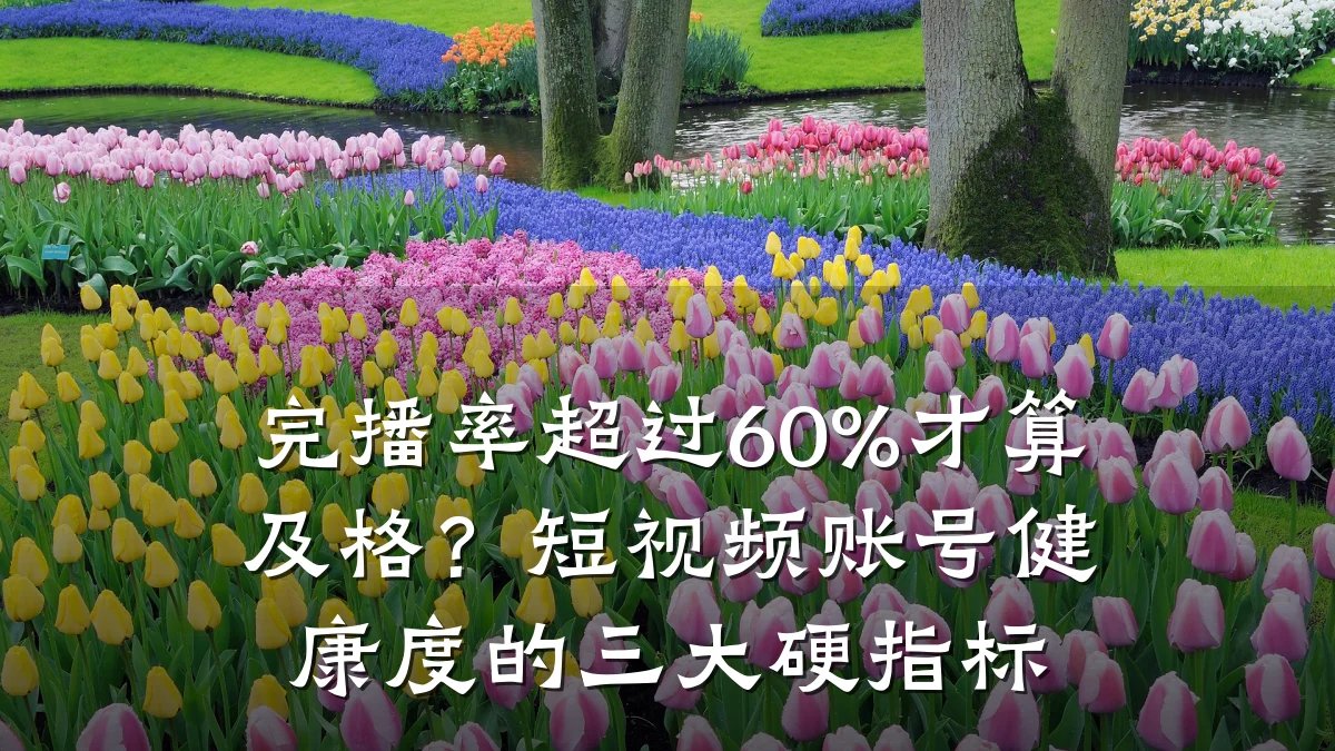 完播率超过60%才算及格？短视频账号健康度的三大硬指标