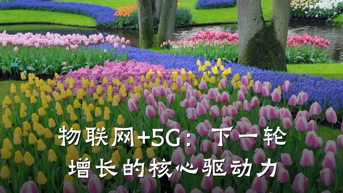 物联网+5G:下一轮增长的核心驱动力