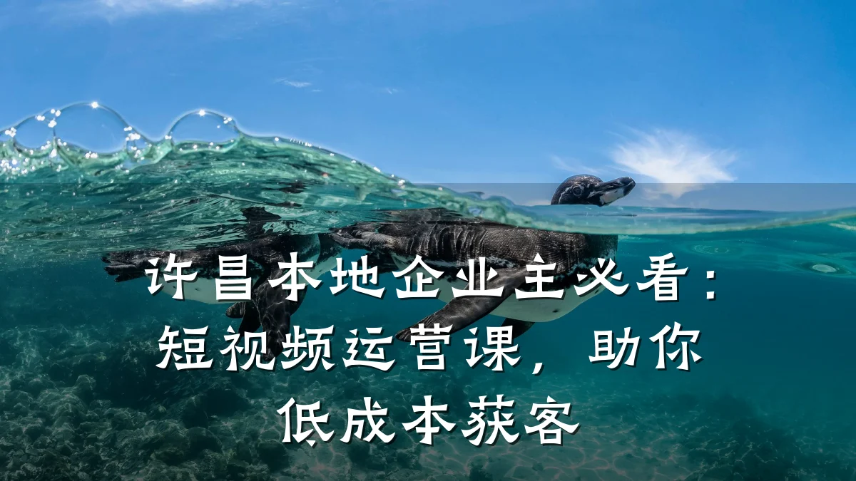 许昌本地企业主必看：短视频运营课，助你低成本获客