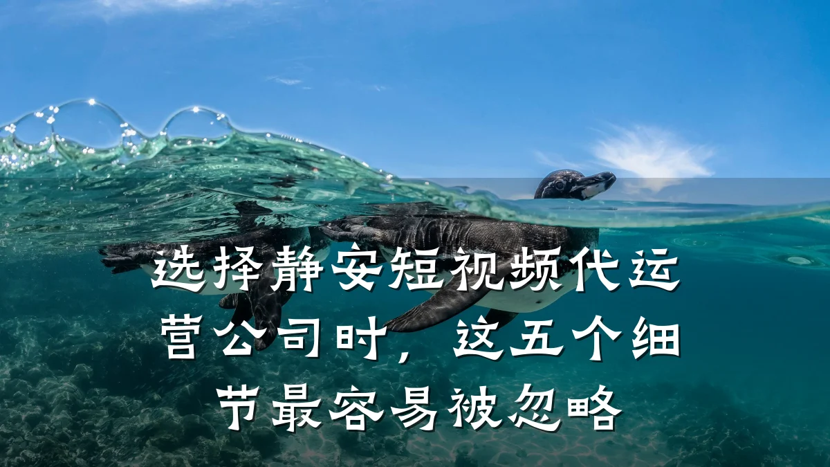 选择静安短视频代运营公司时，这五个细节最容易被忽略
