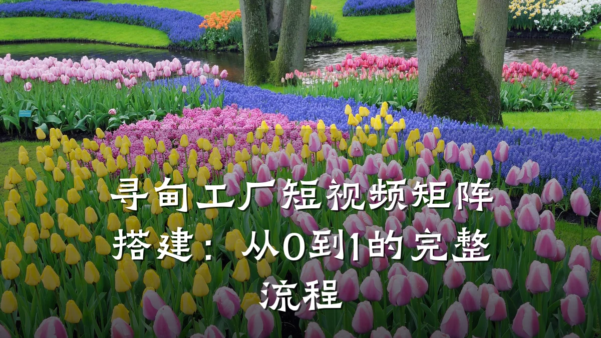 寻甸工厂短视频矩阵搭建：从0到1的完整流程