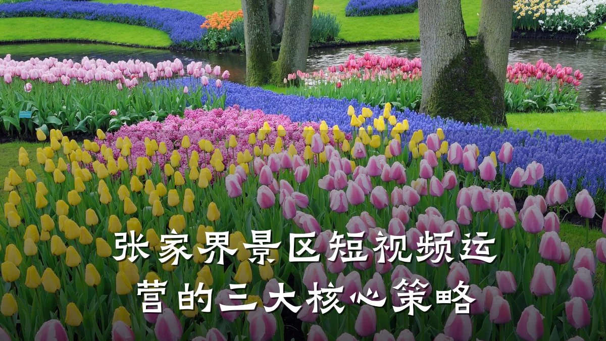 张家界景区短视频运营的三大核心策略