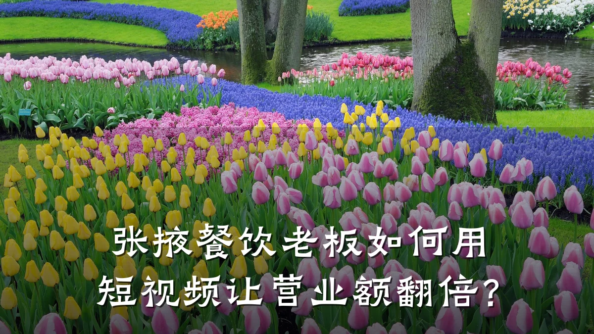 张掖餐饮老板如何用短视频让营业额翻倍？