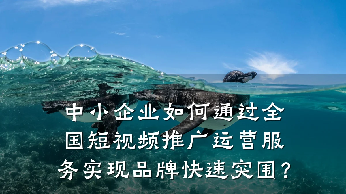 中小企业如何通过全国短视频推广运营服务实现品牌快速突围？