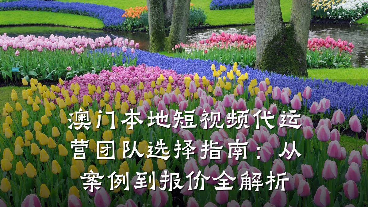 澳门本地短视频代运营团队选择指南：从案例到报价全解析