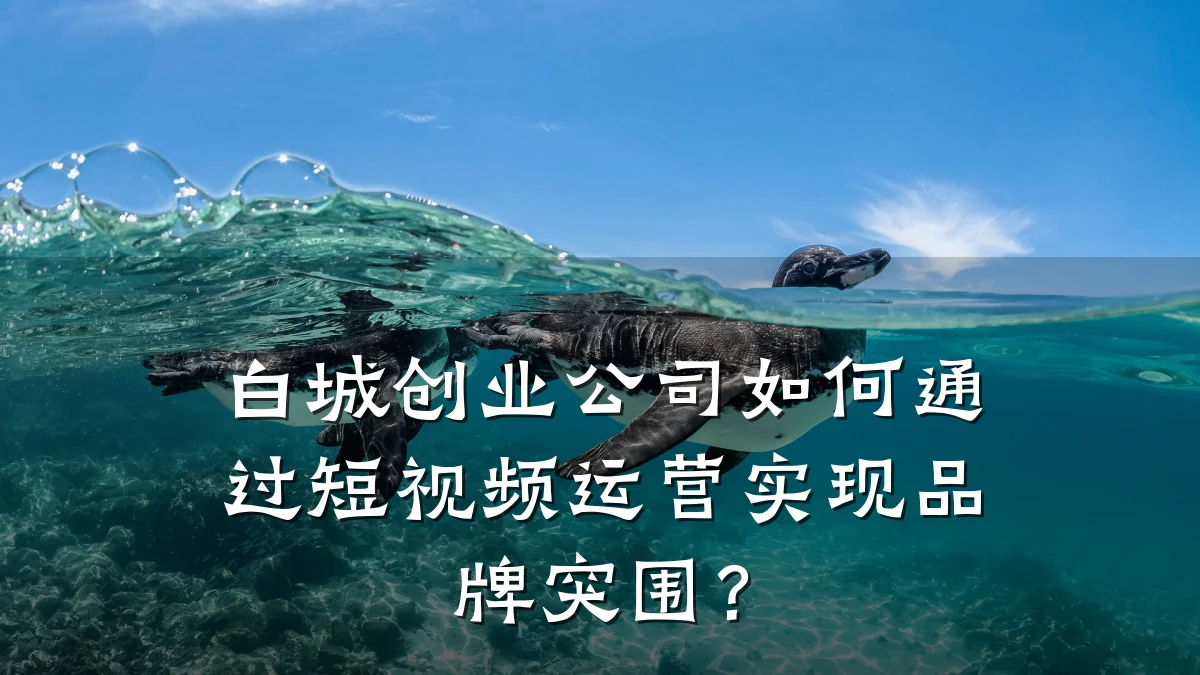 白城创业公司如何通过短视频运营实现品牌突围？