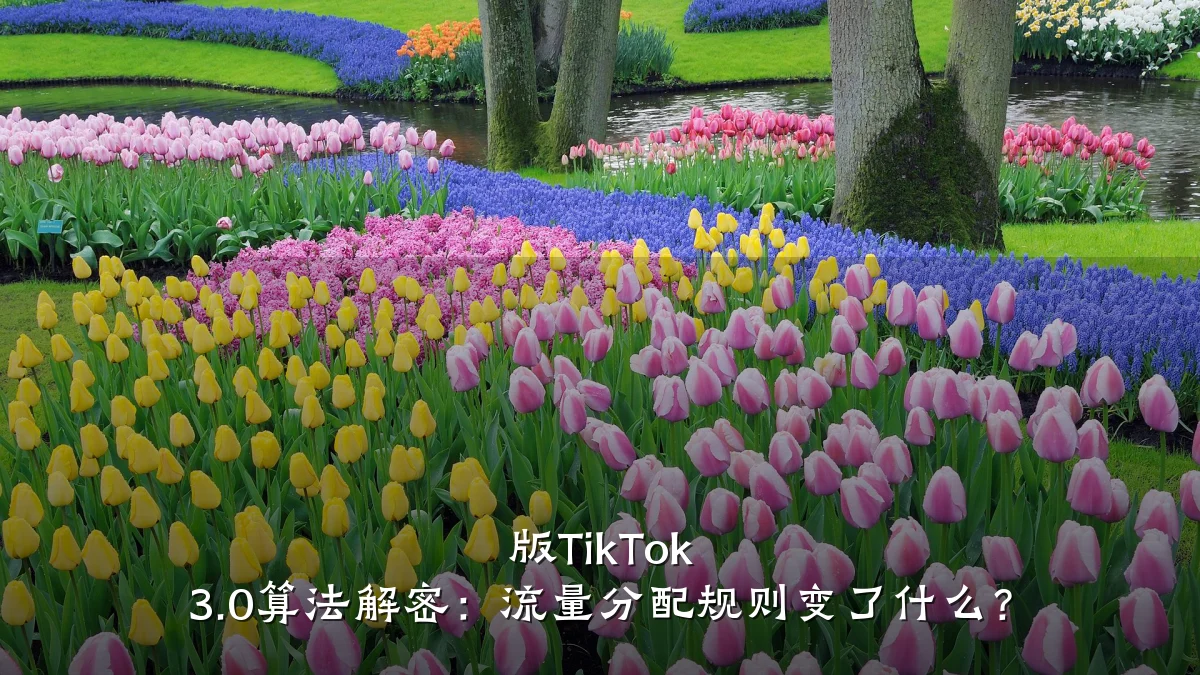 版TikTok 3.0算法解密：流量分配规则变了什么？