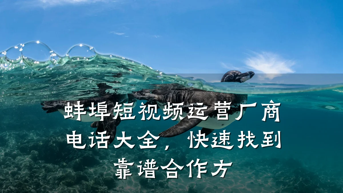 蚌埠短视频运营厂商电话大全，快速找到靠谱合作方