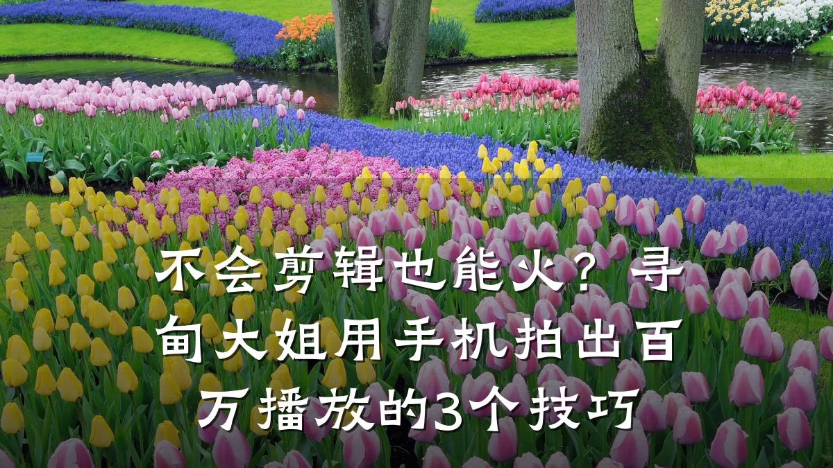 不会剪辑也能火？寻甸大姐用手机拍出百万播放的3个技巧