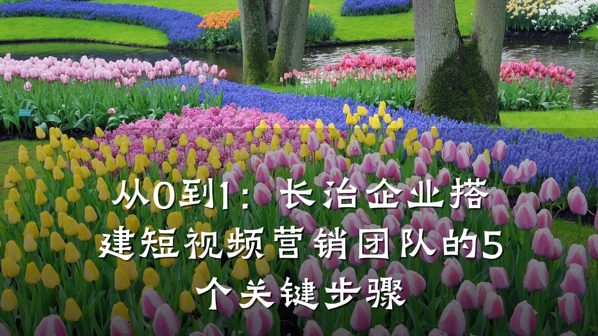 从0到1：长治企业搭建短视频营销团队的5个关键步骤