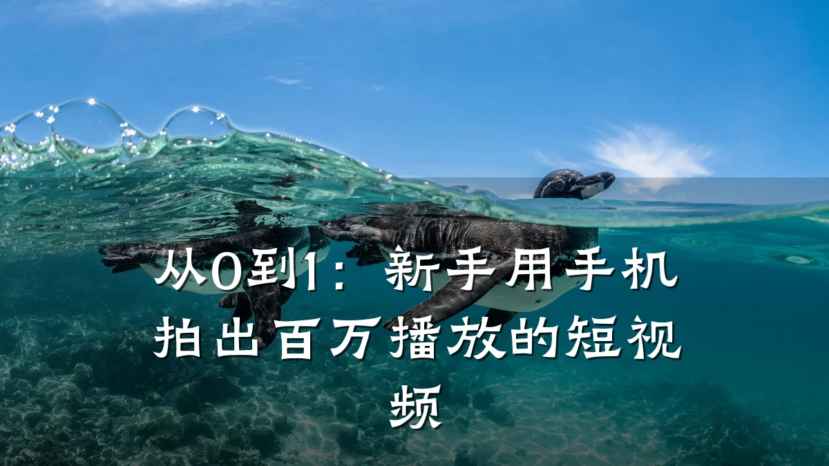 从0到1：新手用手机拍出百万播放的短视频