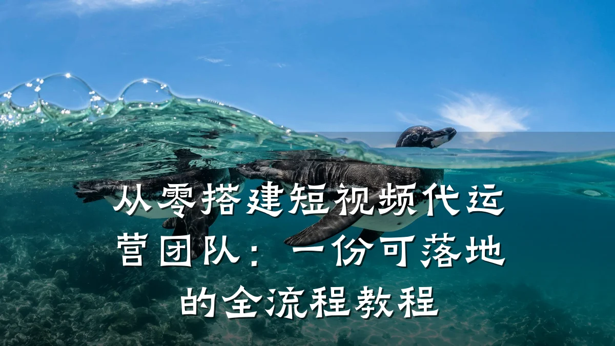从零搭建短视频代运营团队：一份可落地的全流程教程